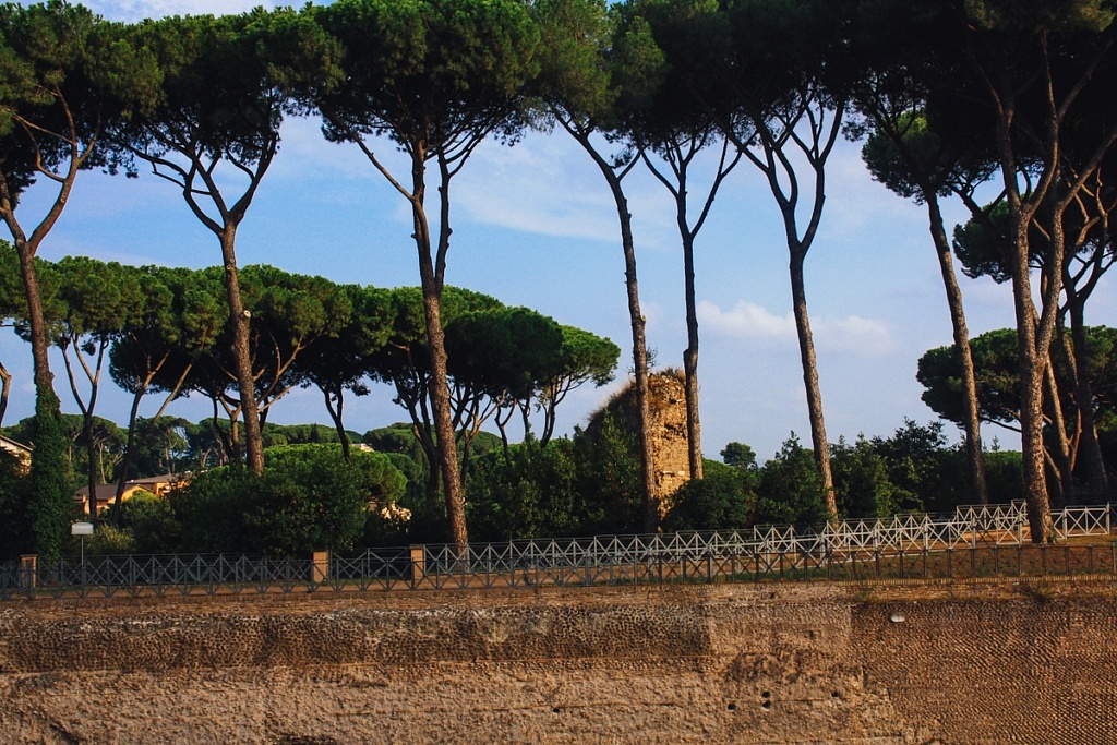 Forum et Mont Palatin, Rome