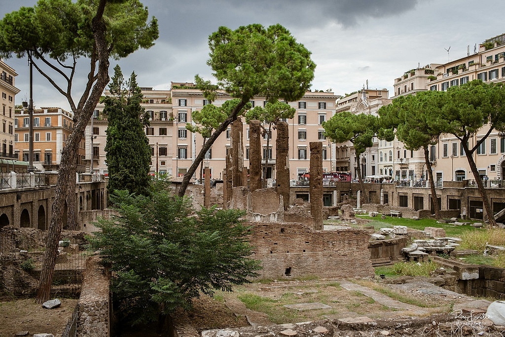 Largo di Torre Argentina, Rome