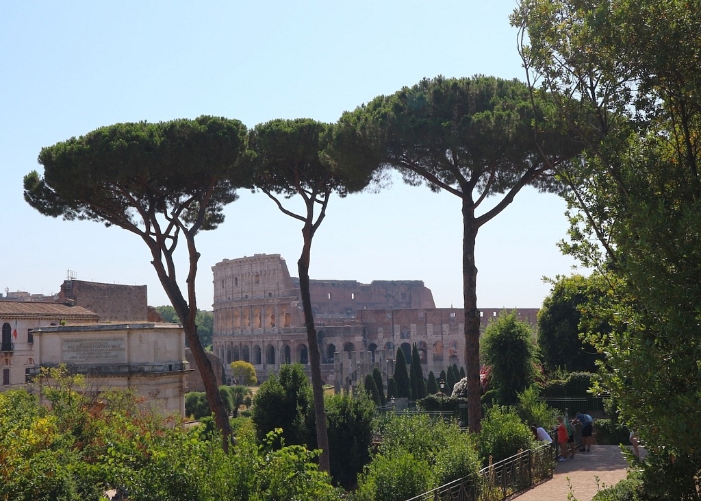 colisée rome vue jardin